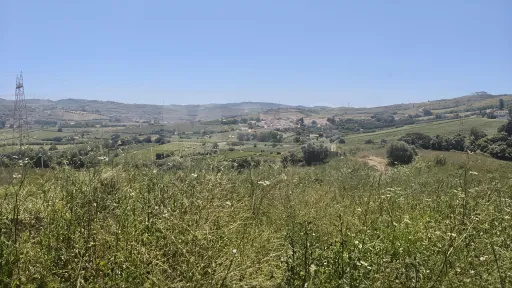 Terreno p/ Construção c/ 2.299m2 & Proj. Aprovado p/ Moradia T3 Térrea!