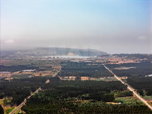 7950m2 plot of land near the beaches of Nazaré and São Martinho do Porto