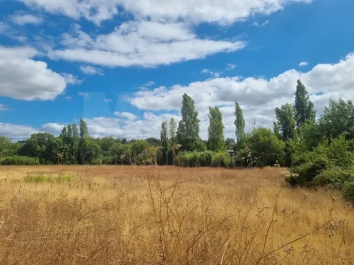 Terreno Rustico Ribeira Branca TORRES NOVAS