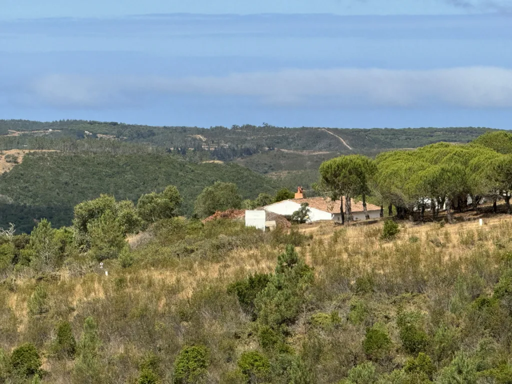 Moradia T3 no campo, perto de Lagos com 15 ha - Negociável