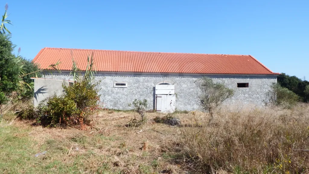 Quinta com Adega | 37.500 m² | Atouguia da Baleia, Peniche