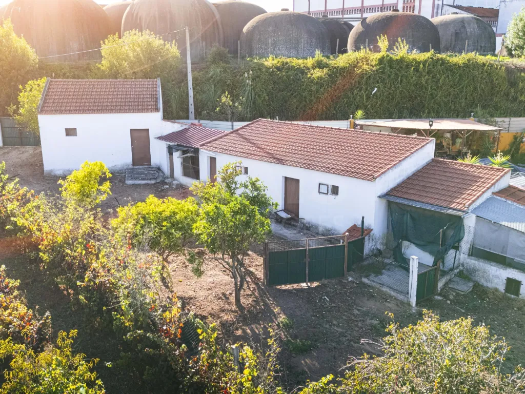 Armazém com potencial de transformação CADAVAL