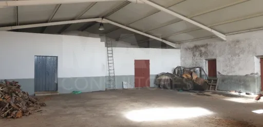 Moradia V 4 + Armazém + Casa Térrea de 45m2 em CASAIS ROMEIROS Santarém