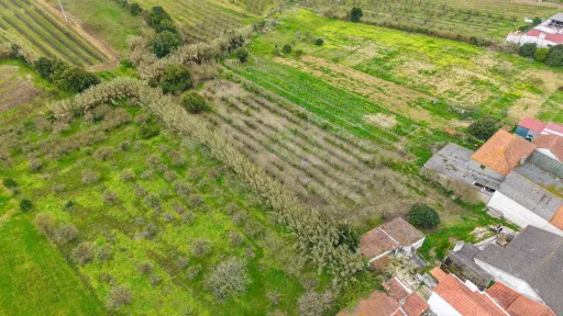 Terreno no centro da Usseira