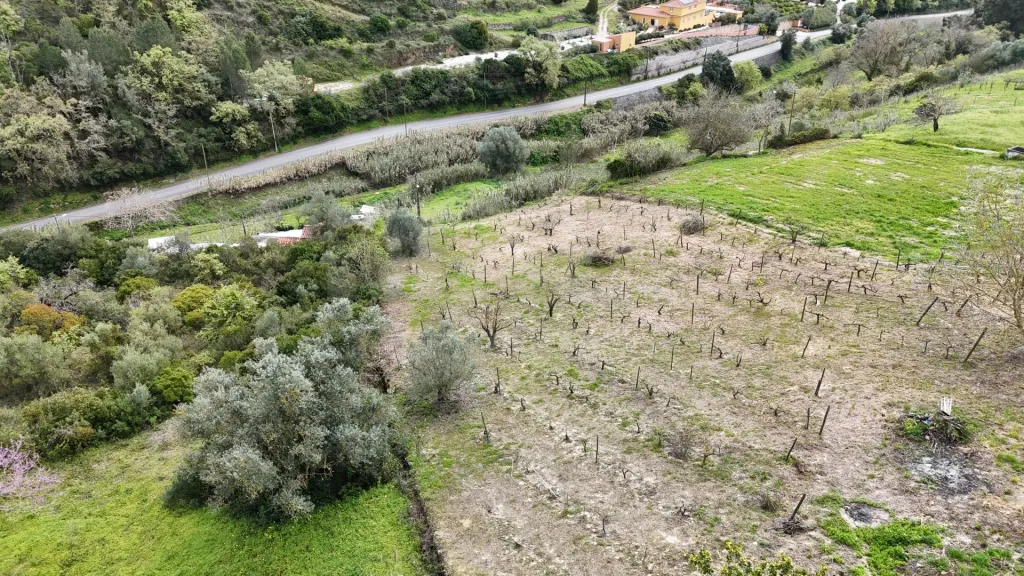 Casa de habitação e terreno Meca- Alenquer