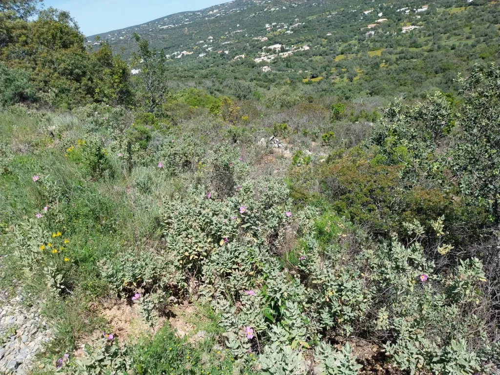Terreno Rustico, vista serra.