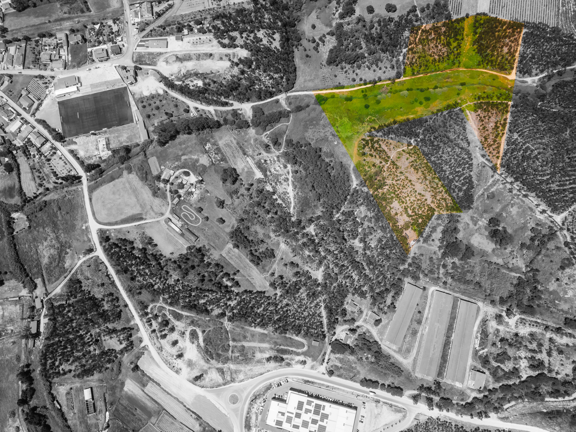 Terreno com quatro hectares e meio perto de indústria, no concelho de Torres Vedras