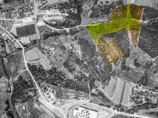 Terreno com quatro hectares e meio perto de indústria, no concelho de Torres Vedras