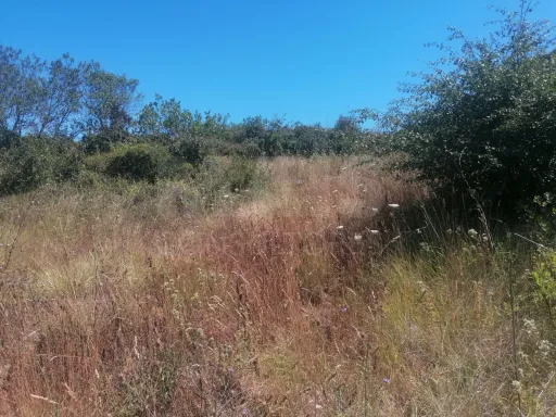 Terreno Rustico Em Sobral De Monte Agraço