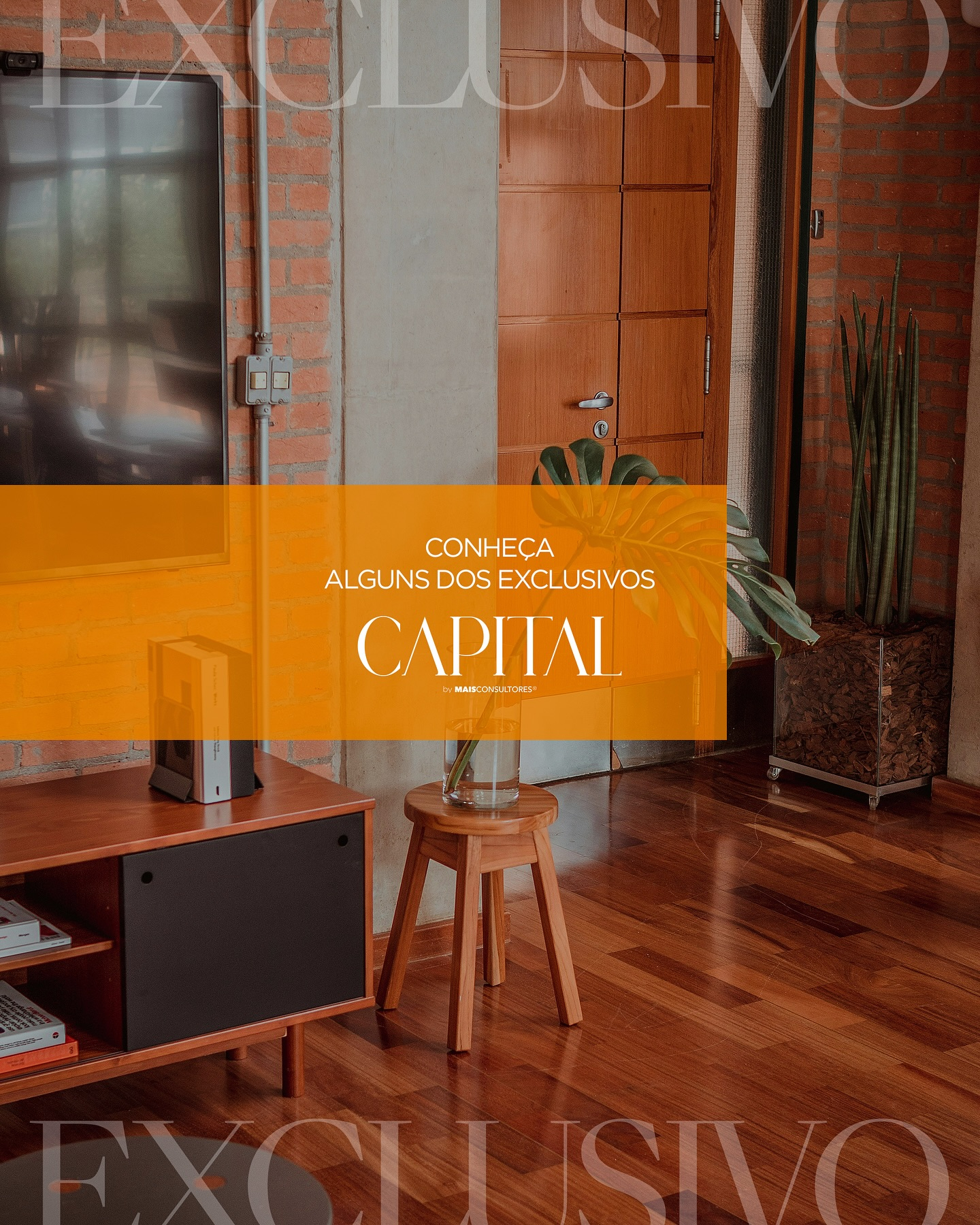 Conheça alguns dos nossos imóveis exclusivos 🏡