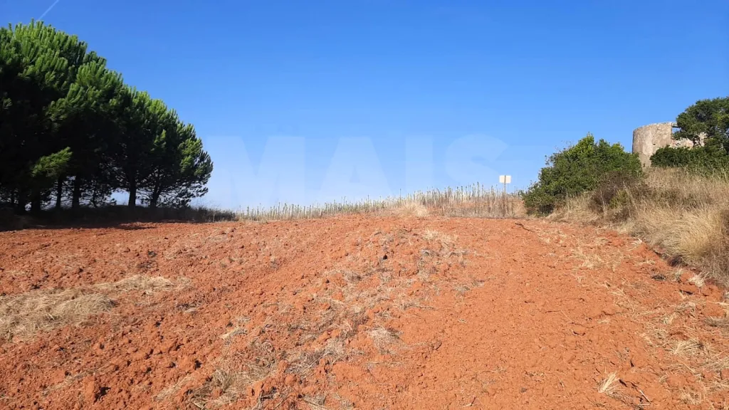 Terreno 2560 m2 Peral/Cadaval