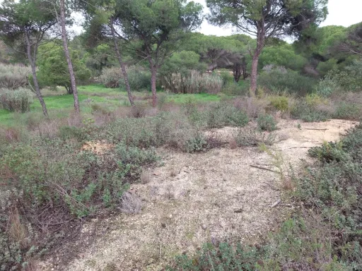 Lote de terreno em Vale Verde Almancil