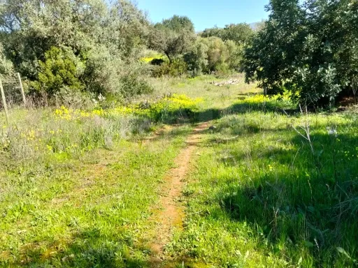 Lote de Terreno Rustico