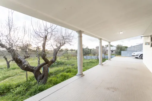 Moradia Térrea V3 com terreno urbano de 3780m2 no Alentejo