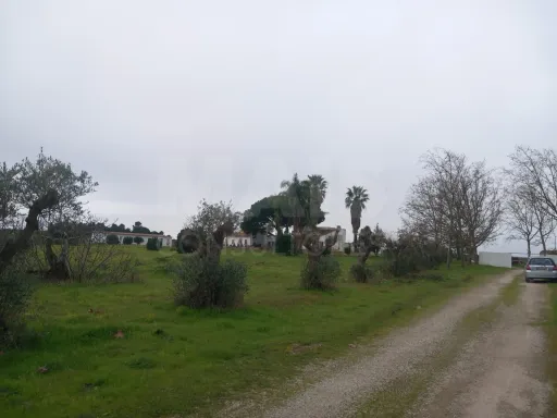 Terreno rústico 6.000m2 situado em Lau-Palmela