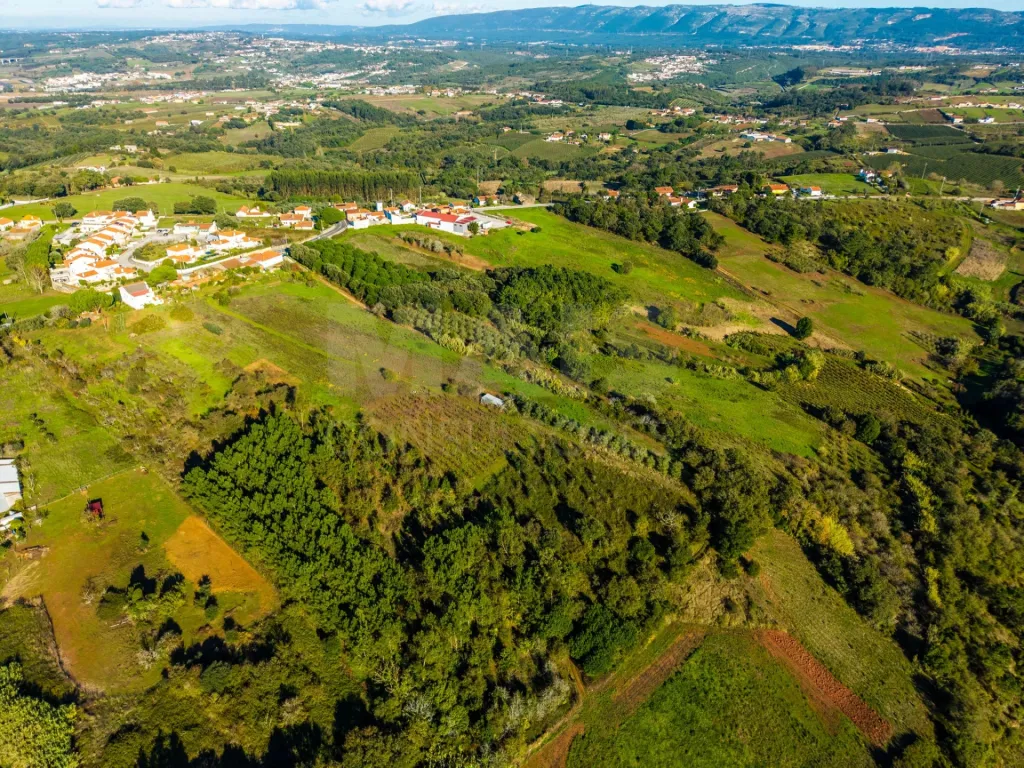 Terreno Amplo com PIP Aprovado – Ideal para Moradia Contemporânea