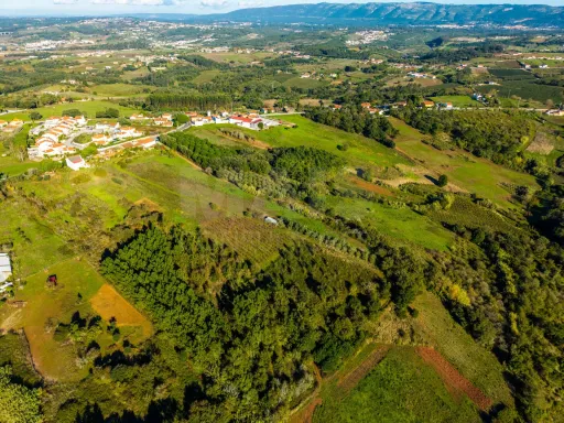 Terreno Amplo com PIP Aprovado – Ideal para Moradia Contemporânea