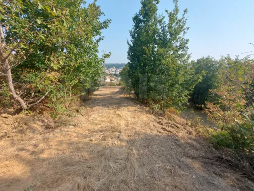 Terreno com 1872 m2 em Côja para construir