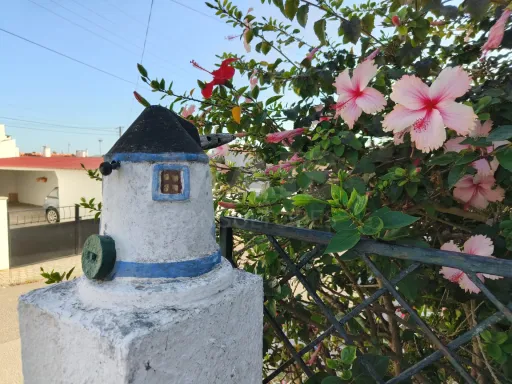 Moradia usada em Coruche