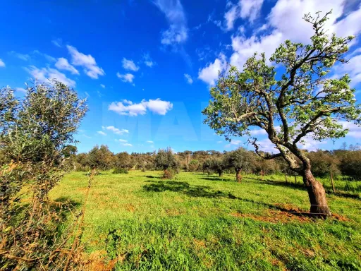Quinta T4 com 9 mil m2 em Santiago do Cacém, Cercal do Alentejo