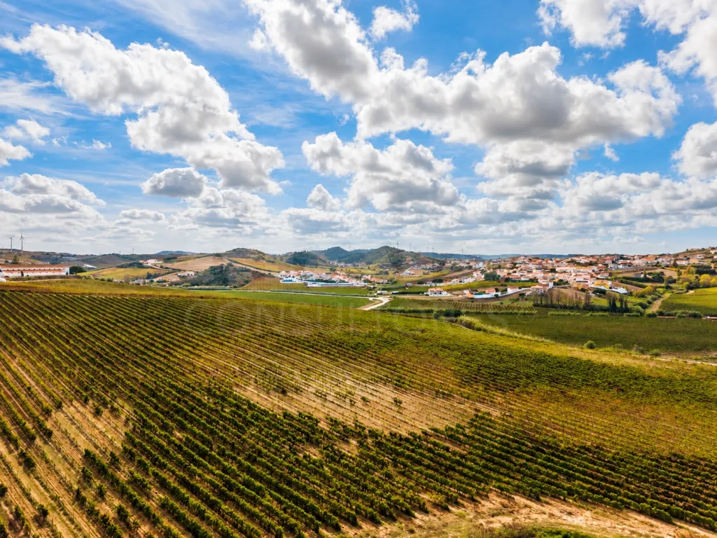 Moradia T2 com anexo T1, piscina e terreno de 1.000 m², em Torres Vedras