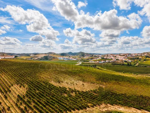 Moradia T2 com anexo T1, piscina e terreno de 1.000 m², em Torres Vedras