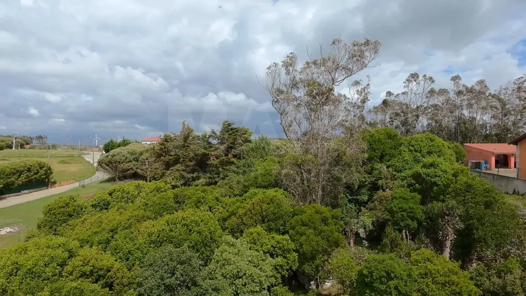 Terreno com 2 280m² em Cezaredas – Oportunidade Única!