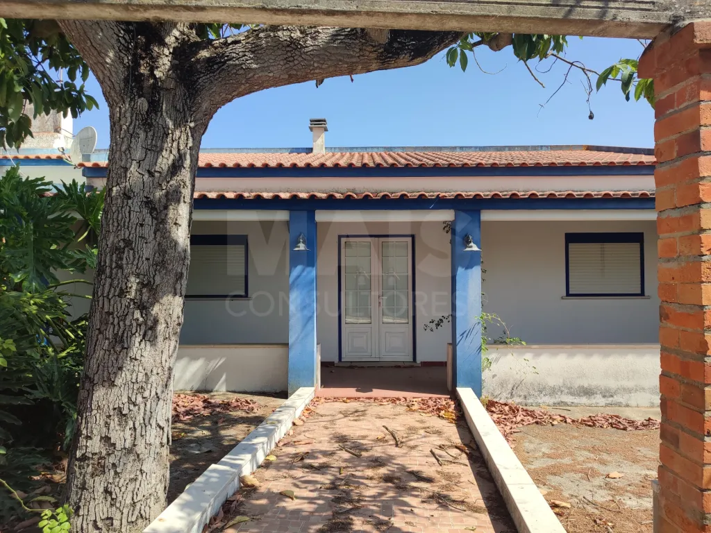 Quintinha com Casas e Comércio Independente – Santarém (Portela das Padeiras)
