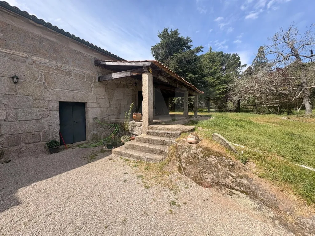 Herdade / Quinta com 25–27 ha, vinha em produção, olival e piscina – Serra da Estrela, Gouveia