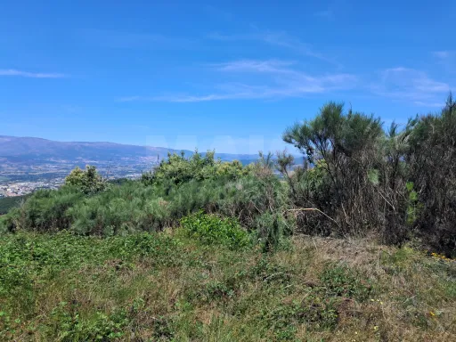 Terreno Misto com Ruína - Alcongosta, Fundão, Portugal