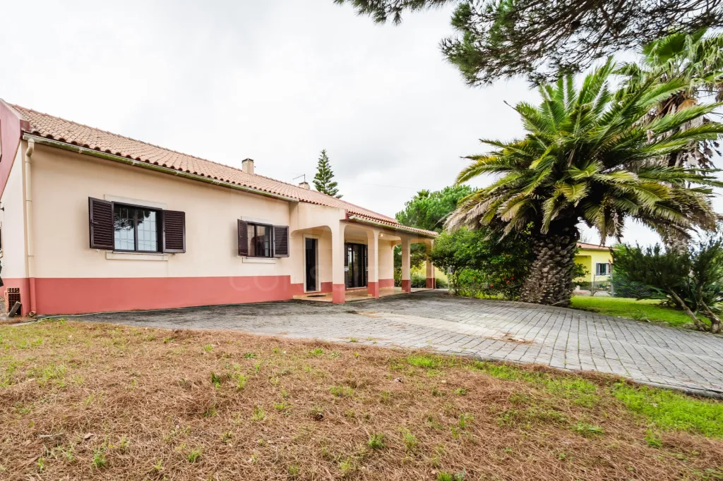 Moradia T3 com terreno