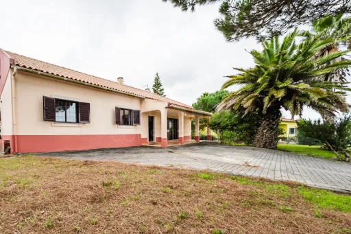 Moradia T3 com terreno