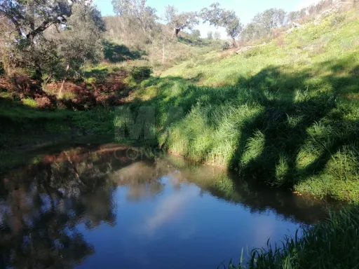 Herdade  com 40,85 hectares em São Bartolomeu da Serra, Santiago do Cacém