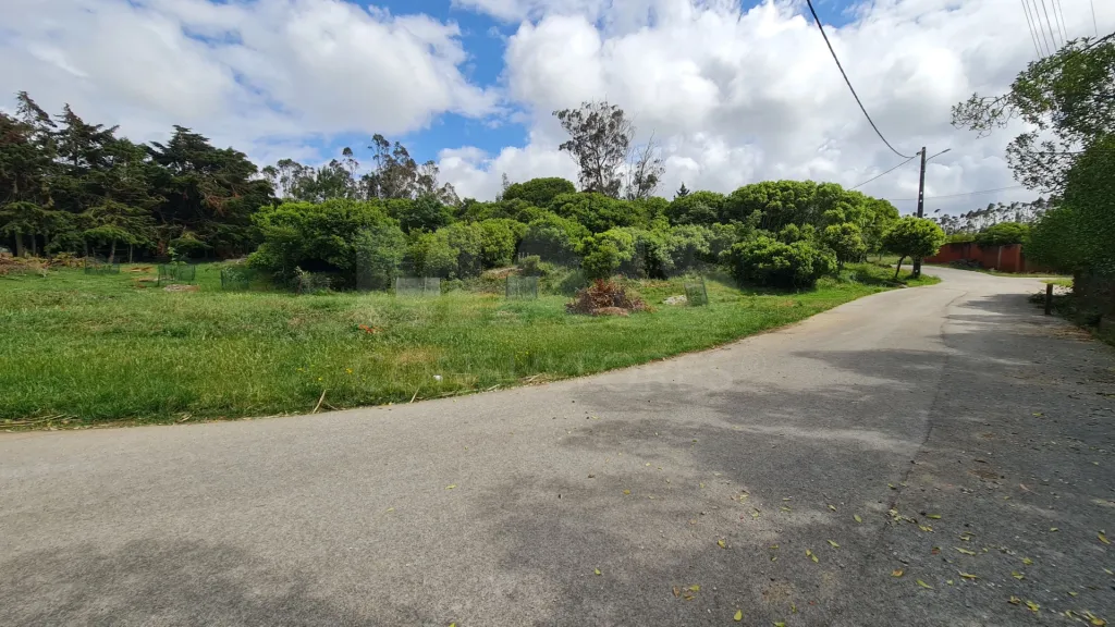 Terreno com 1 520m²  em Cezaredas – Oportunidade Única!