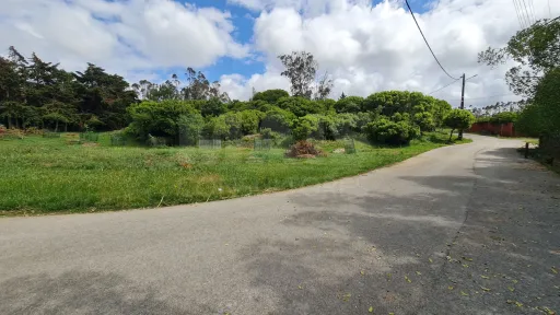 Terreno com 1 520m²  em Cezaredas – Oportunidade Única!