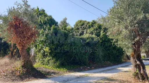 Terreno Misto com Ruina em TORRES NOVAS