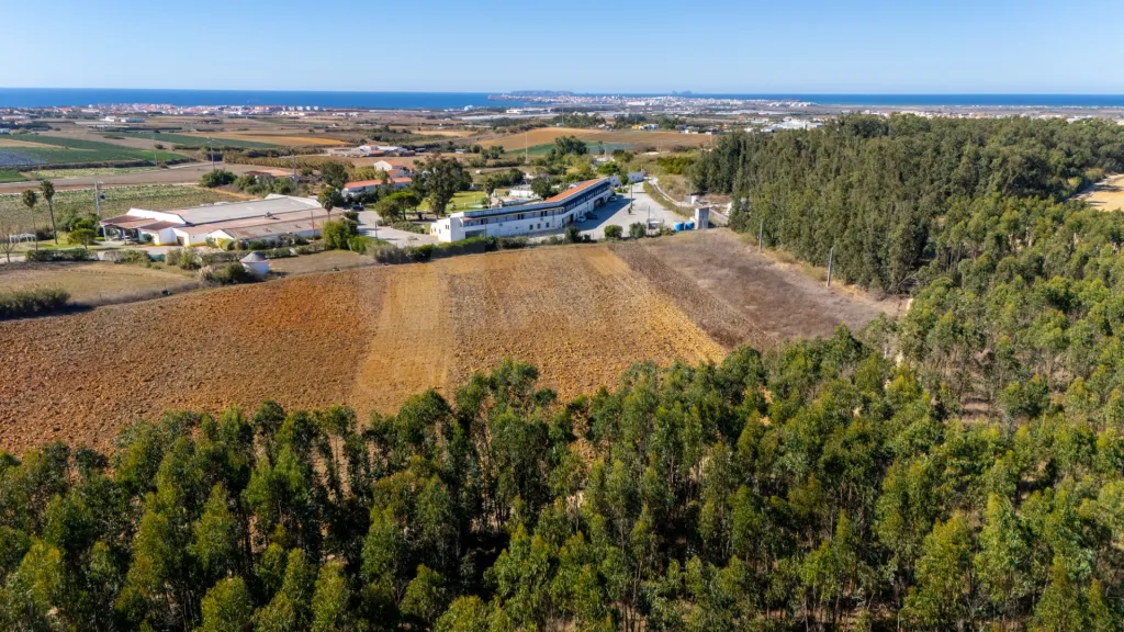 Parcela de terreno rústico de 2.350m2 em Atouguia da Baleia