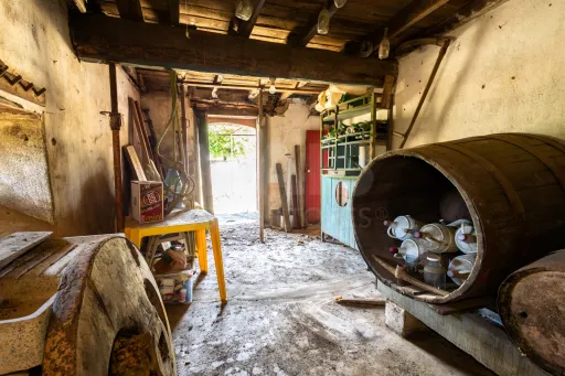 PROPRIEDADE DE CARÁTER NA N2 | 400 m² DE CONSTRUÇÃO, OLIVAL E POTENCIAL TURÍSTICO