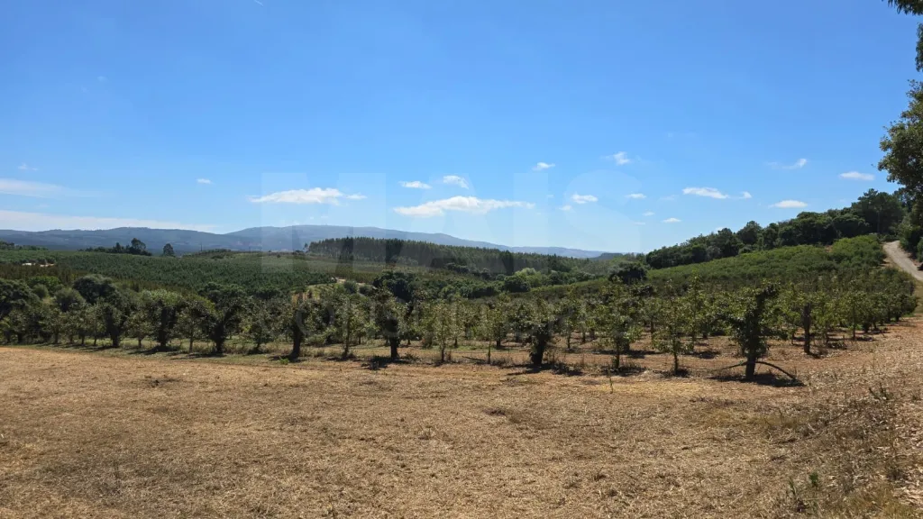 Terreno com Projeto Habitacional T4 – Vista Deslumbrante para a Serra de Montejunto