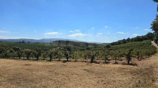 Terreno com Projeto Habitacional T4 – Vista Deslumbrante para a Serra de Montejunto
