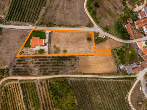 Traditional single-storey house T4 with 4040m2 of land