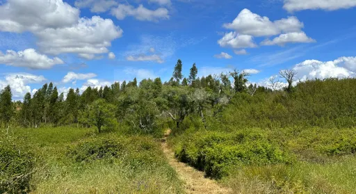 Herdade com 11,6 hectares em São Bartolomeu da Serra, Santiago do Cacém