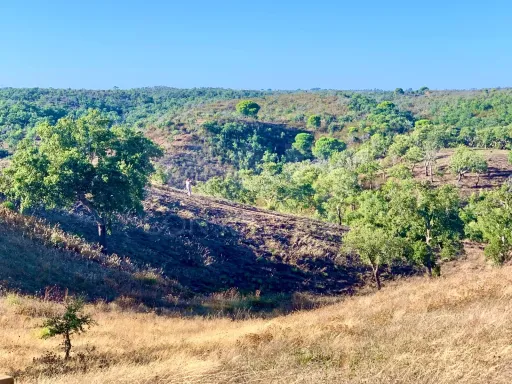 Herdade  com 40,85 hectares em São Bartolomeu da Serra, Santiago do Cacém