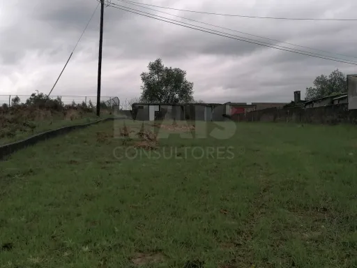 House for renovation on 1242 m2 plot - Mealhada