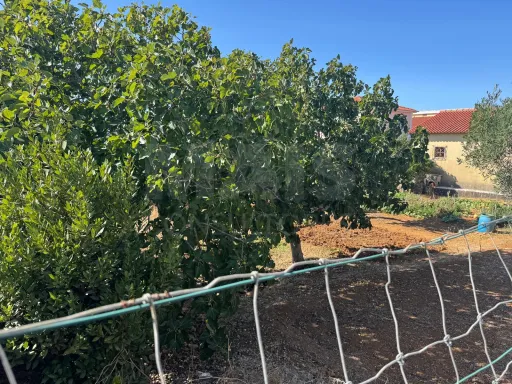 Terreno em Parede Caparide