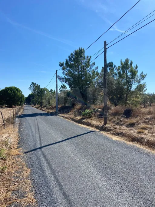 Olival com excelente localização em Grândola