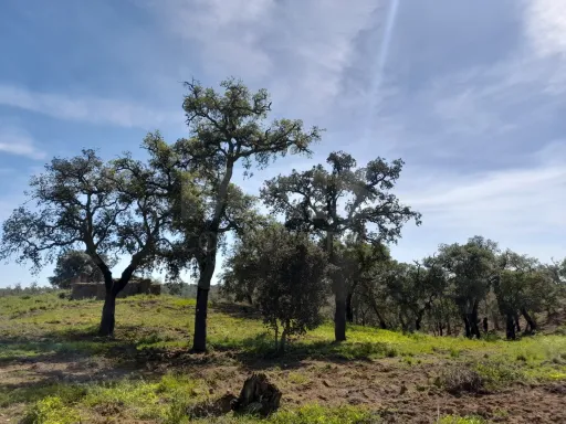 Terreno Urbano com 8.4 H em Melides