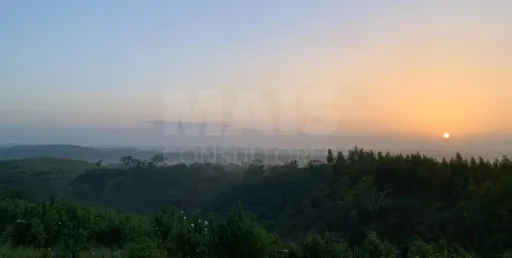 Herdade  com 40,85 hectares em São Bartolomeu da Serra, Santiago do Cacém