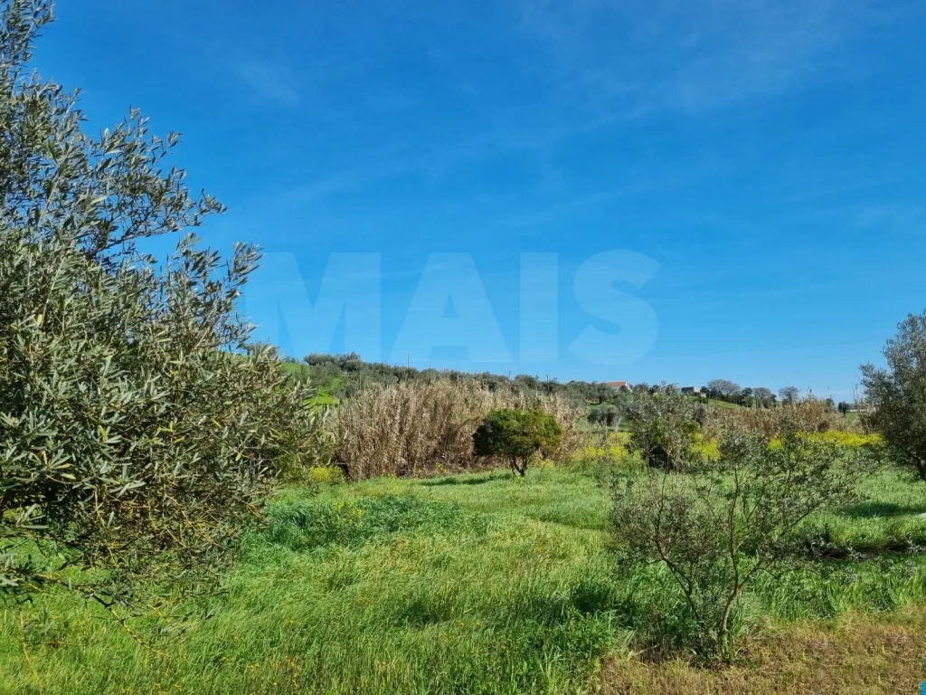 Small Farm with 6.2 Hectares, Abundant Water and 902 m² of Construction in Torres Novas