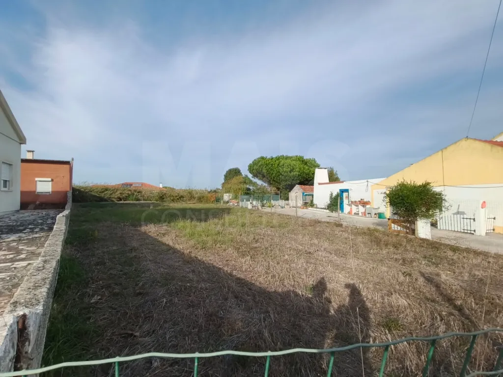 Excelente Oportunidade: Terreno Urbano para Construção no Campo (Caldas da Rainha)